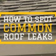How To Spot Common Roof Leaks - Armor Xteriors Chattanooga